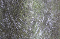 Holland On Sea fibreglass roof work